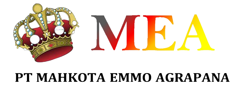 MEA_logo-removebg-preview